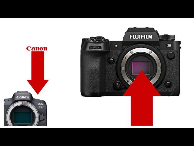 Why I Switched from Canon to Fuji for Client Photography: My Journey and Experience