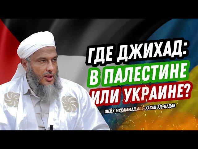 Где джихад: в Палестине или Украине? | Шейх Мухаммад аль-Хасан ад-Дадау