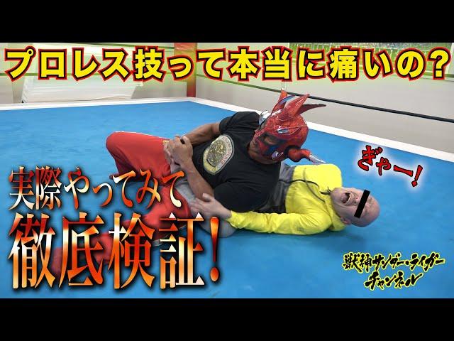 【祝！WWE殿堂入り】徹底検証！プロレス技は本当に痛いのか？-【Verify wrestling moves】Is it really hurts？-