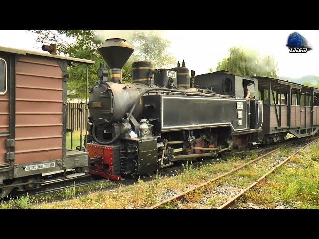  Locomotiva cu Abur 764 469 CFF în Acțiune în Gara Vișeu de Sus - 30 August 2024