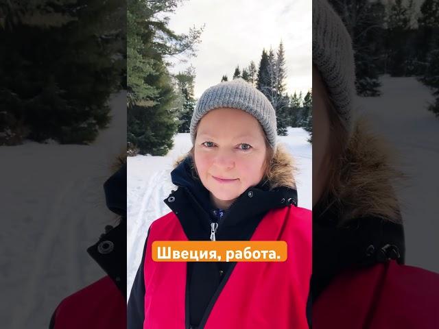 Работа в Швеции. Я в лесу.
