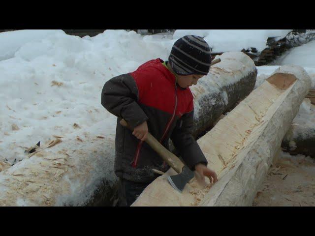 Зимний день в Воздвиженском. Новое Старое.