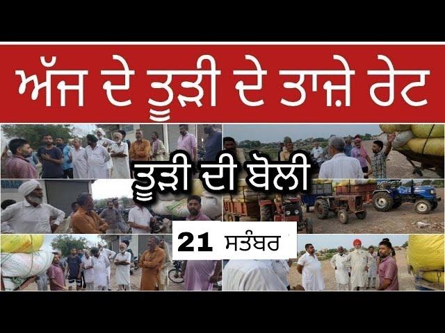 Pendu ਕਿੱਤਾ is live ਤੂੜੀ ਦੀ ਬੋਲੀ | 21 ਸਤੰਬਰ 2024 | ਕੋਟਕਪੂਰਾ ਮੰਡੀ | Tudi di boli (LIVE) Pendu ਕਿੱਤਾ