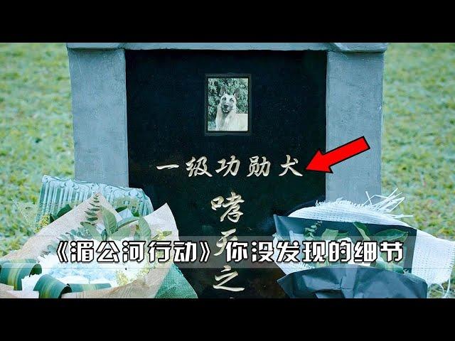 《湄公河行动》你不知道的细节！为什么警犬有墓碑，缉毒警却没有