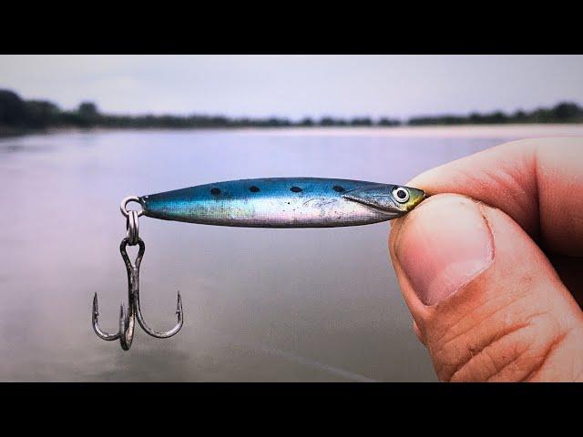 Summer Fishing for Zander and Asp on the Po River