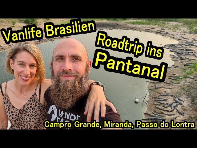 Abenteuer Pantanal: Kaimane, Piranhas & Tapire – Unser Vanlife-Highlight in Brasilien - VLOG 9