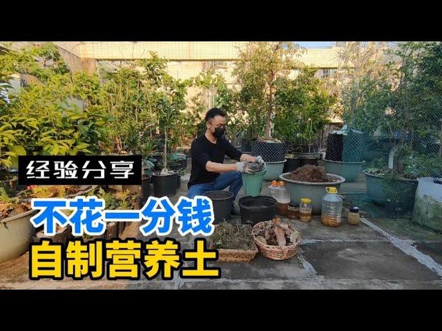 教你用最簡單材料來製作營養土，不花一分錢，土越用越肥沃！