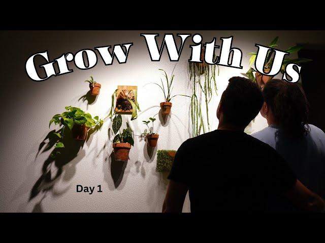 Daily Houseplant Vlog: Episode 1