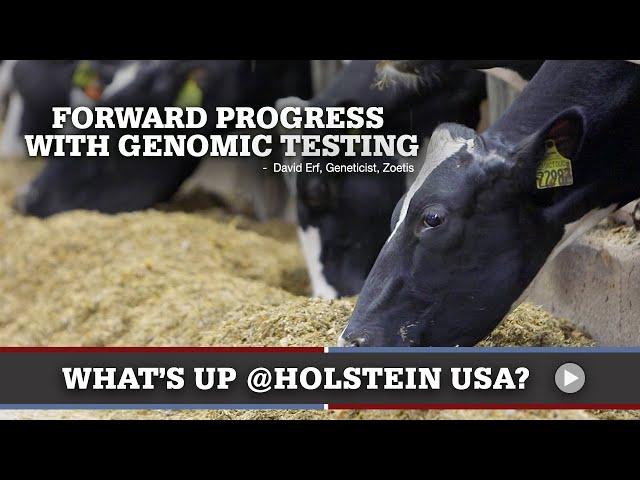 What's Up at Holstein USA: Forward Progress