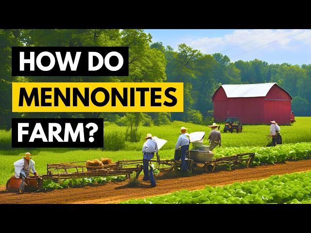 RARE Look Inside a Mennonite Farm – How They Grow Food Off-Grid!