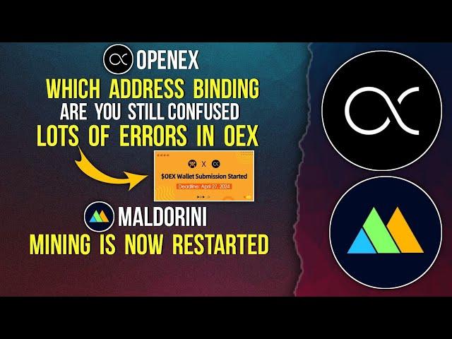 OPENEX BINDING ADDRESS CONFUSION CLEARED | MALDORINI MINING RESTARTED #openex #distribution