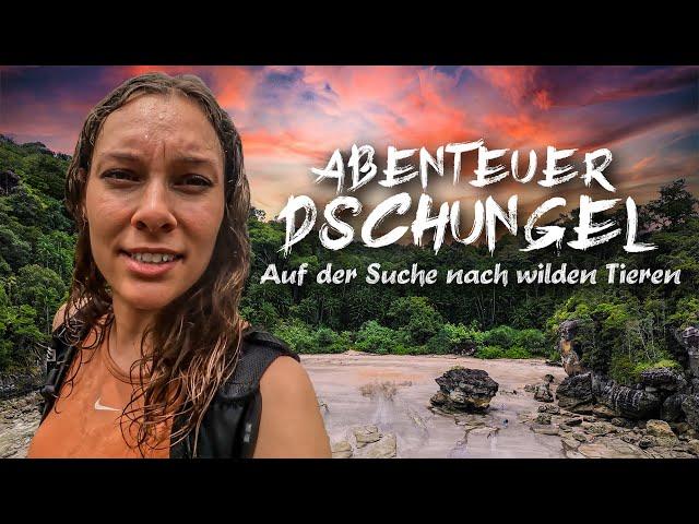 Dschungel-Expedition #1  Der Tag VOR unserer Tour! Suche nach wilden Dschungel-Tieren!