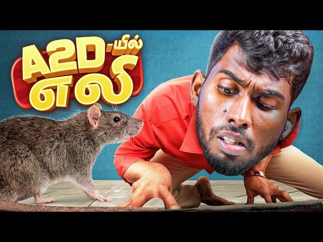 பொறி வெச்சா எலி விழனும்  - Rat Hunt at A2D Office 