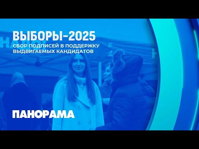 В Беларуси продолжается сбор подписей для выдвижения кандидатов в Президенты. Панорама