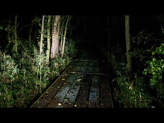 Exploring Haunted Woods In A National Park With Recent Bigfoot, Fae and Dogman Sightings (09/29/24)