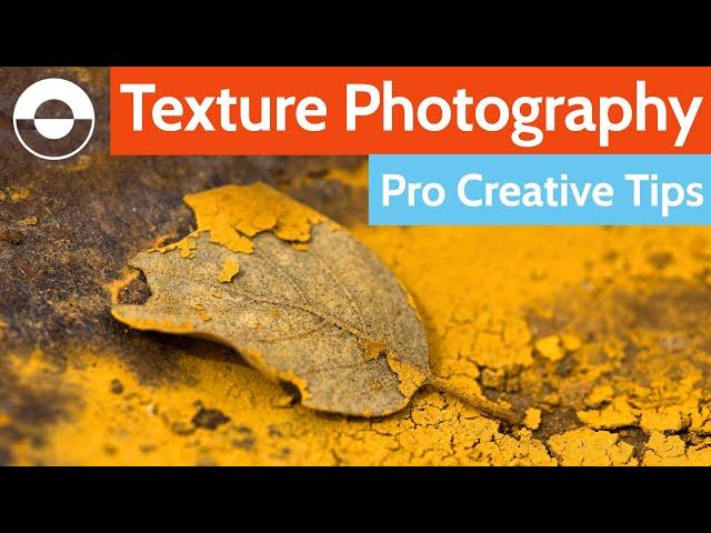 How to Add Texture to Your Photos (Creative Texture Photography Tips)