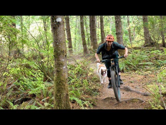How To Mountain Bike | A Beginner's Guide To Getting Started