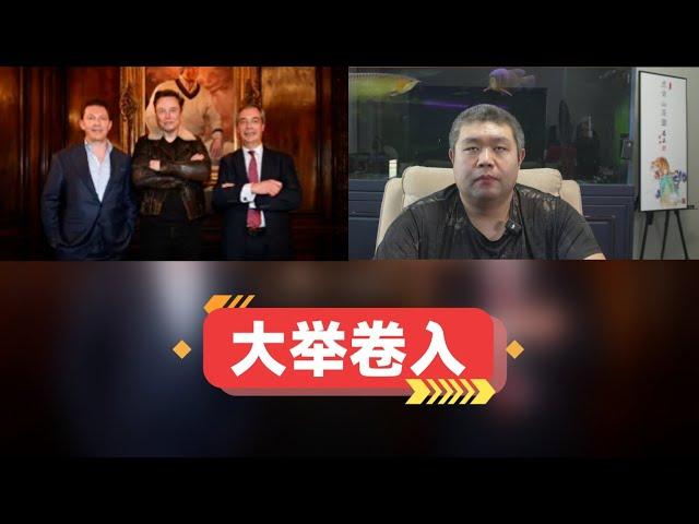 马斯克准备大笔援助英国改革党帮其获得成功，马斯克的欧洲改革之路能否成功