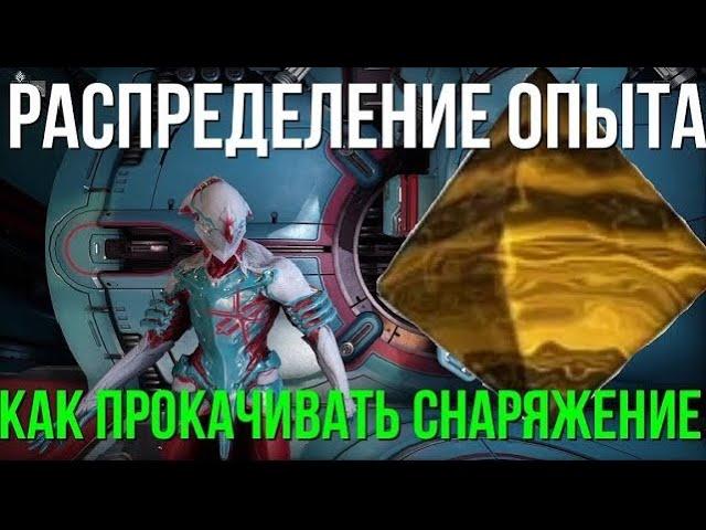 Гайд по прокачке снаряжения. Синтез и как он распределяется.