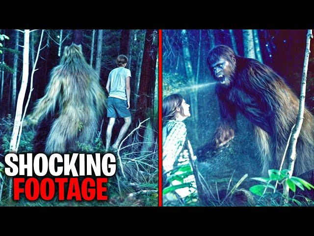 If These Camping Encounters Were Not Filmed No One Would Have Believed It!