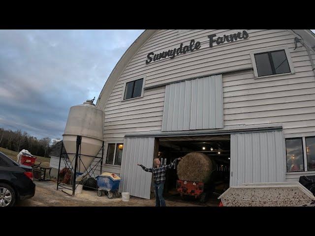 Morning chores on a quaint Maine dairy farm…