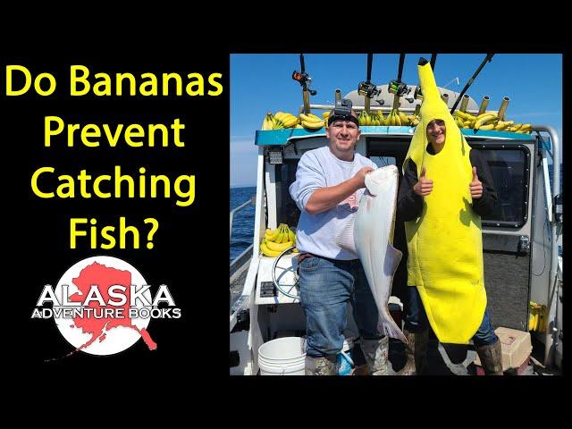 What happens if you take 100 pounds of Bananas fishing? Will they prevent you from catching fish?