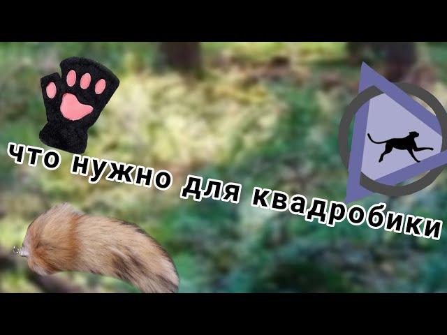 что же нужно для квадробики?милкис️🪶