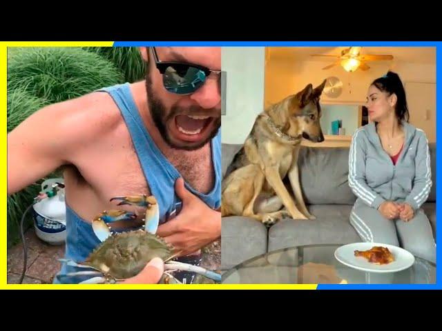 TRY NOT TO STRESS PLEASE | FUNNY VIDEOS 2021