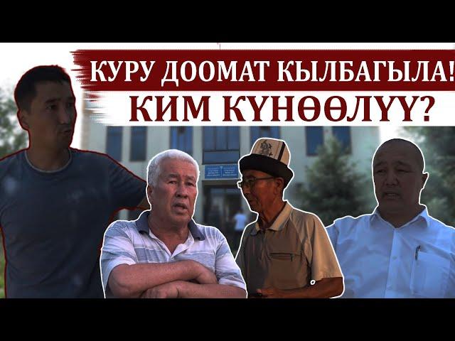 Куру доомат кылбагыла! Ким күнөөлүү?