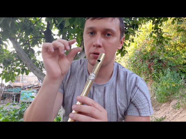 Обзор на Тин Вистл в До из Латуни(Tin Whistle C Key Brass)#8