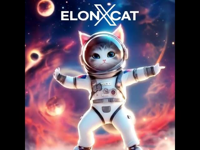 ElonXCat A Creative Spark in the Crypto Universe || ELONXMUSK & SPACEX MEME COIN ||