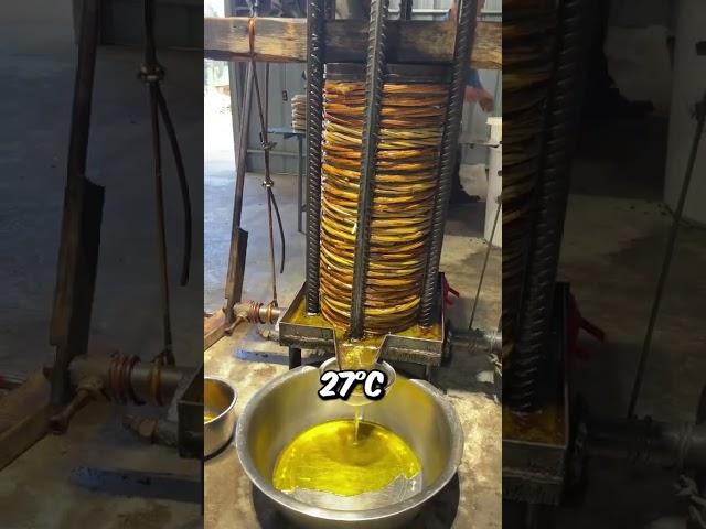 How Olive Oil Is Made The Traditional Way (@chinaframer)