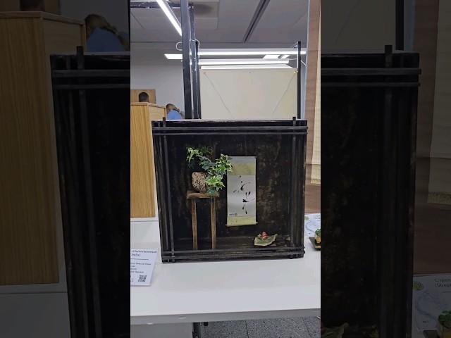 Авангардная ниша Токонома от Елены Бельской #токонома #япония #бонсай @Studio.Bonsai