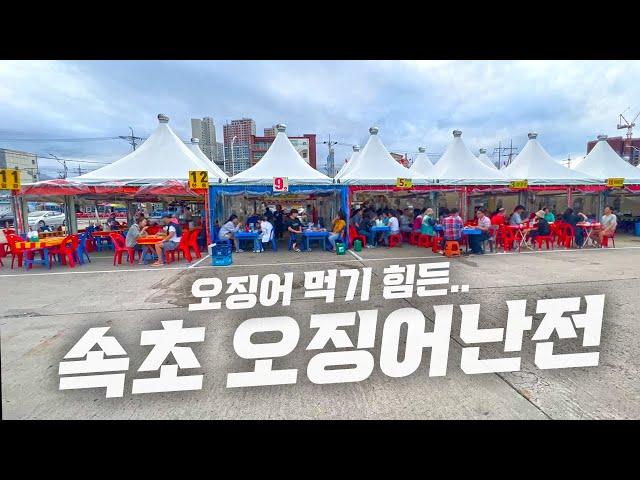 간다고 무조건 먹을 수 있지 않습니다...한 달만에 맛본 오징어 ! 속초 동명항 오징어난전