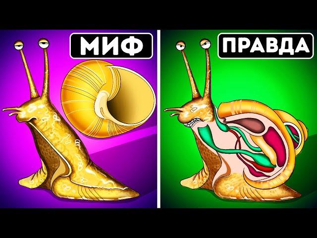 24 факта о животных, которые на самом деле являются выдумкой!
