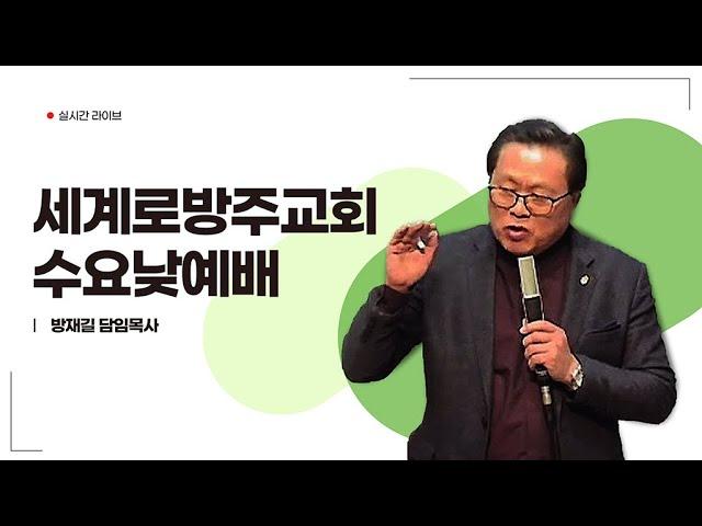 세계로 방주교회 2024년 11월 20일 수요낮 예배