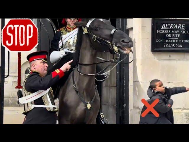 I’m WARNING You, I am Your BIG BOSS! But This Kid is UNSTOPPABLE for Messing with the HORSE 