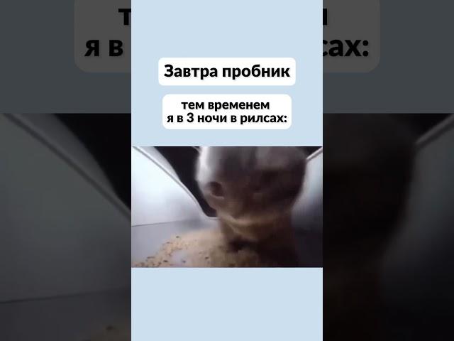 хорошо, что не реальный экзамен  #99баллов #егэ #подготовкакегэ #информатика #99баллов_информатика