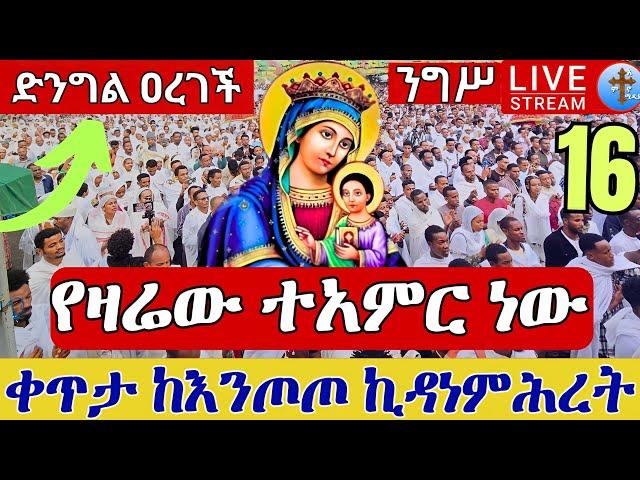 ⭕️Live ተአምር ነው  የእመቤታችን ዕርገት ደማቅ ንግሥ ነሐሴ 16 ቀጥታ ከእንጦጦ ሐመረ ኖኅ ቅድስት ኪዳነምሕረት || Eotc live Aug 22