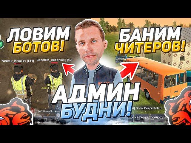 АДМИН БУДНИ! БАНИМ ЧИТЕРОВ, ЛОВИМ БОТОВ НА БЛЕК РАША // BLACK RUSSIA