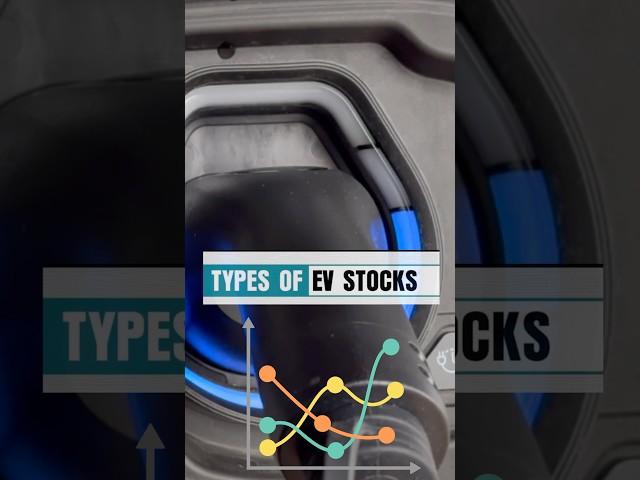 Types Of EV Stocks To Invest #shorts #evstockstobuy #evstocks