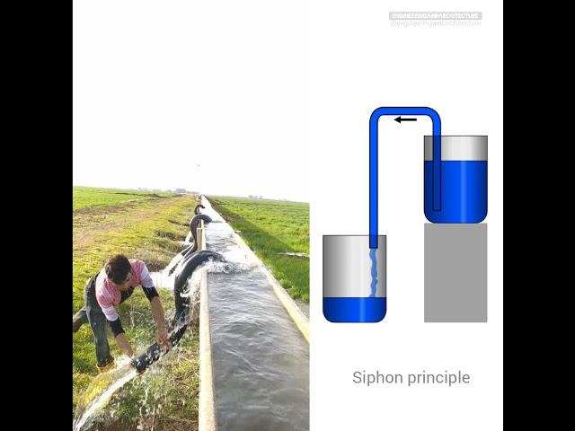 Siphon for irrigation | Siphon principle