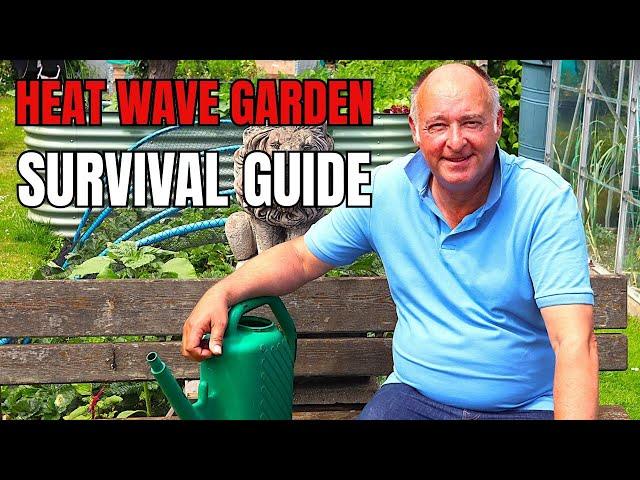 Save Your Veg! Heatwave Watering Guide for No Dig Gardeners
