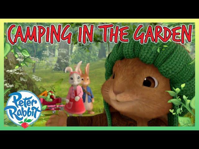 @OfficialPeterRabbit -  Camping in the Garden   | 20+ Mins | Cartoon for Kids