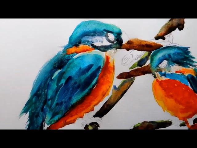 Painting in watercolours by colin statter Scottish wildlife Artist, kingfishers