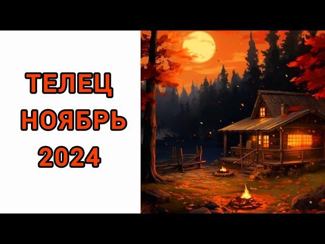 ТЕЛЕЦ️ | НОЯБРЬ | ТАРО | 2024