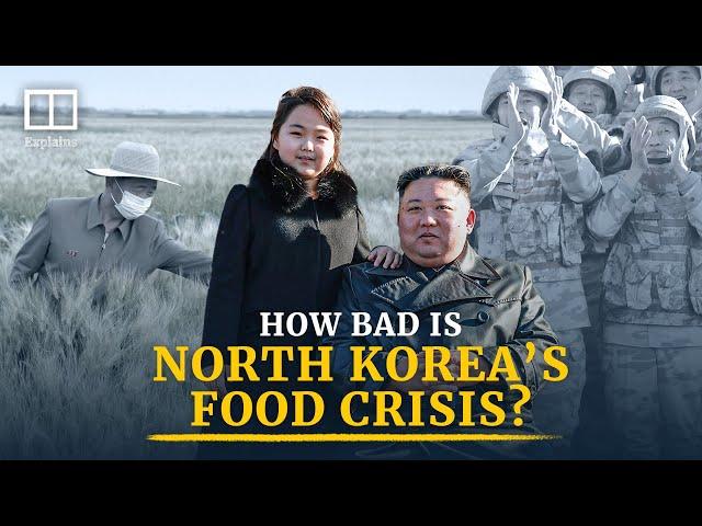 North Korea’s food crisis: How hungry are people in the hermit kingdom?