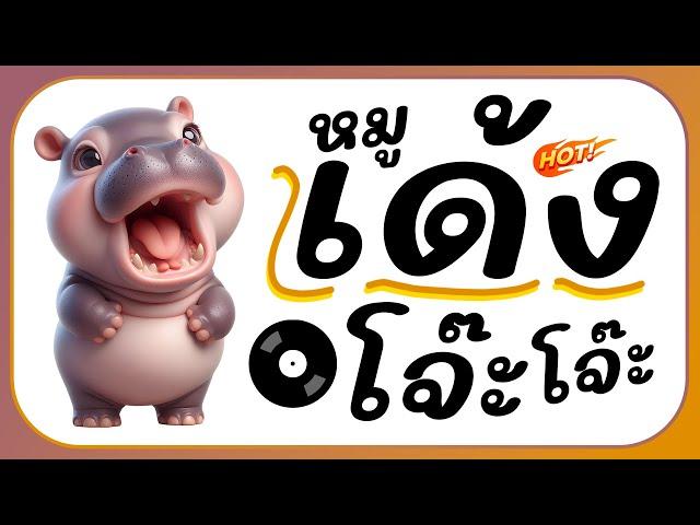 ⭐ฮิตในTikTok!! ( หมูเด้ง MooDeng ) Ver. แดนซ์โจ๊ะๆ ReMix BY [ ดีเจกิต รีมิกซ์ ]