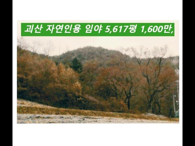 괴산 자연인(귀산촌인)용 임야 5,617평 1,600만,