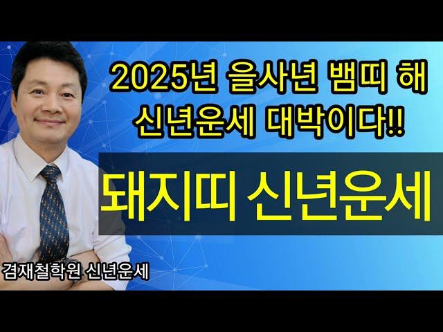 돼지띠  신년운세 2025년 을사년  95년생  83년생 71년생 59년생 47년생  전화상담 및 방문상담 051-805-4999